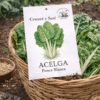 Acelga Penca Blanca