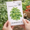 Albahaca