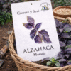 albahaca-morada Albahaca Morada