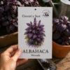 albahaca-morada (2) Albahaca Morada