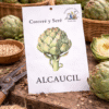 Alcaucil
