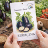 Berenjena