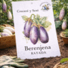 Berenjena Rayada