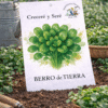 Berro de Tierra