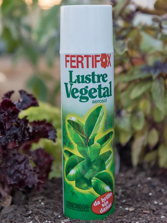 aerosol de lustre vegetativo apoyado en la tierra