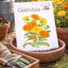 Calendula Officinalis