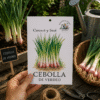 Cebolla de Verdeo