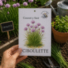 ciboulette Ciboulette