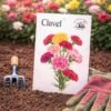 clavel Clavel Chabaud Mezcla