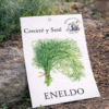 Eneldo