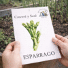 esparrago Esparrago