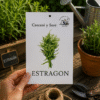 Estragon