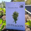sobre de semillas de estragon en huerta