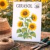 girasol Girasol