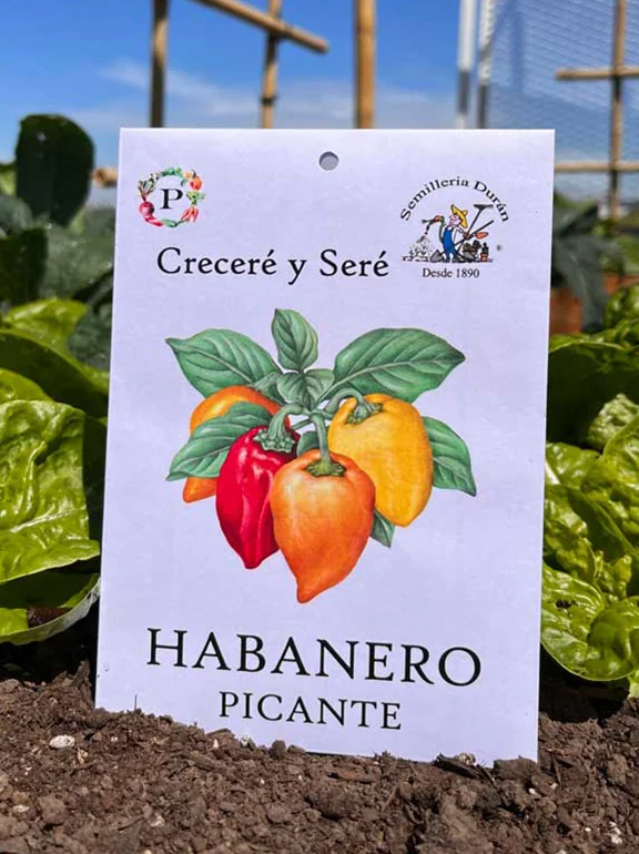 sobre de semillas de habanero picante en huerta