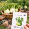 hinojo Hinojo