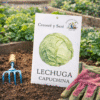 Lechuga Capuchina