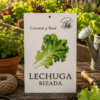 Lechuga Rizada