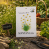 manzanilla (2) Manzanilla