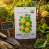 melon-mini-coreano Melón Mini Coreano