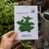 Menta