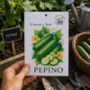 pepino Pepino