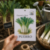 puerro Puerro