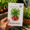 Rabanito