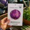 Repollo Colorado