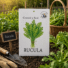 rucula Rúcula
