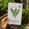 Rúcula Rokita