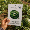 Sandia Crimson Sweet