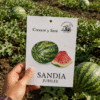 sandia-jubilee Sandia Jubilee