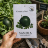 sandia-sugar-baby Sandia Sugar Baby