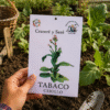 Tabaco Criollo