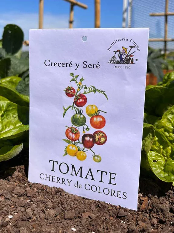 sobre de semillas de tomate cherry de colores en huerta