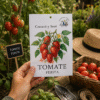 tomate-perita Tomate Perita