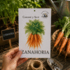 zanahoria Zanahoria