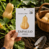 Zapallo Anco