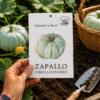 zapallo-criollo-de-plomo Zapallo Criollo Plomo