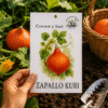 Zapallo Kuri