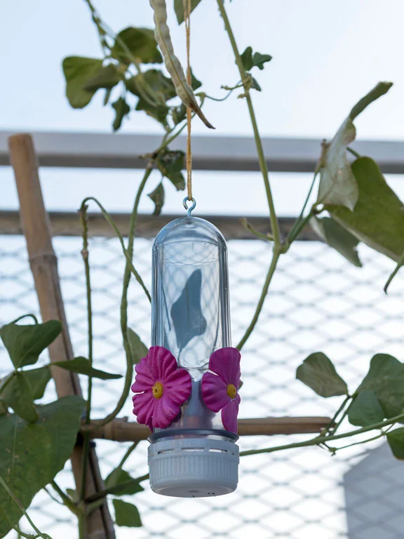 bebedero plástico para colibrí con flor fucsia