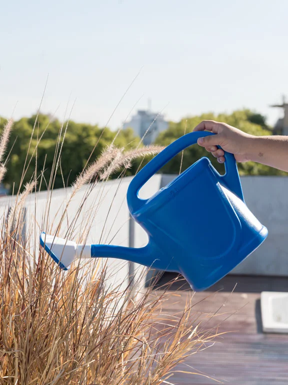 mano regando planta con regadera plástica azul de 5 litros