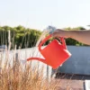 mano regando planta con regadera plástica naranja de 2 litros