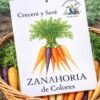 Zanahoria de Colores
