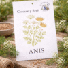Anis