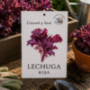 Lechuga Roja