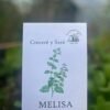 Melisa
