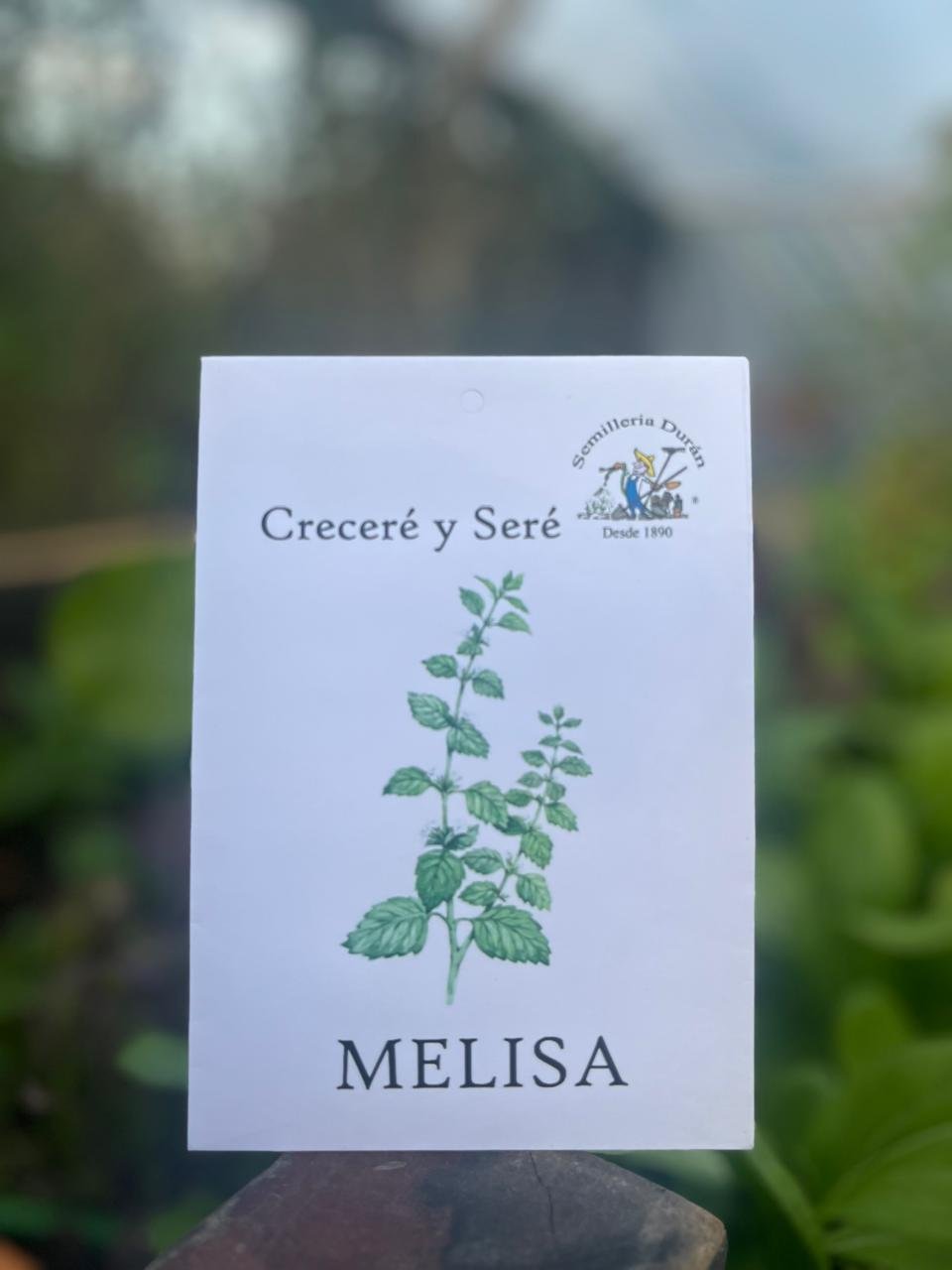 Melisa