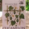 Cucamelon